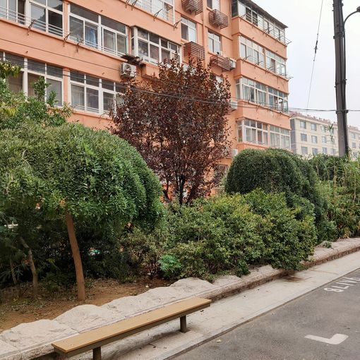 埕口路小区1室1厅1卫南朝向1400.00元/月出租