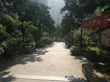 九公里轻轨旁 正规两房,视野好无遮挡,交通便利