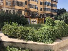 晨光小区2楼三居室南北通透 明厨明卫