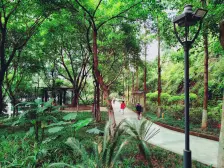 南坪 南滨路上 海棠晓月居家大3房 看中庭 安静不吵