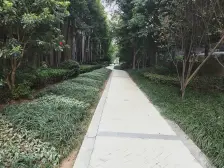 沙滨路 财信沙滨城市A区二房97万