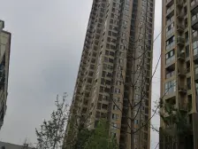 真两房,视野开阔,业主急卖,小区配套好,看房方便。