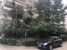 富贵园五楼三室一厅精装修 非顶楼 二附 诚心出售