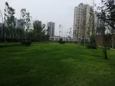 全款在手金科品质物业小区环境好交通便利配套完善