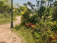 振业松湖雅苑松山湖片区别墅出售安静舒适