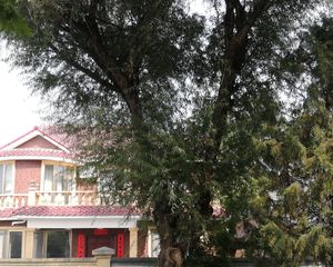 王府花园4室2厅北西南