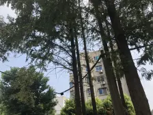 此房满五年 省税 一楼带院子 出行方便