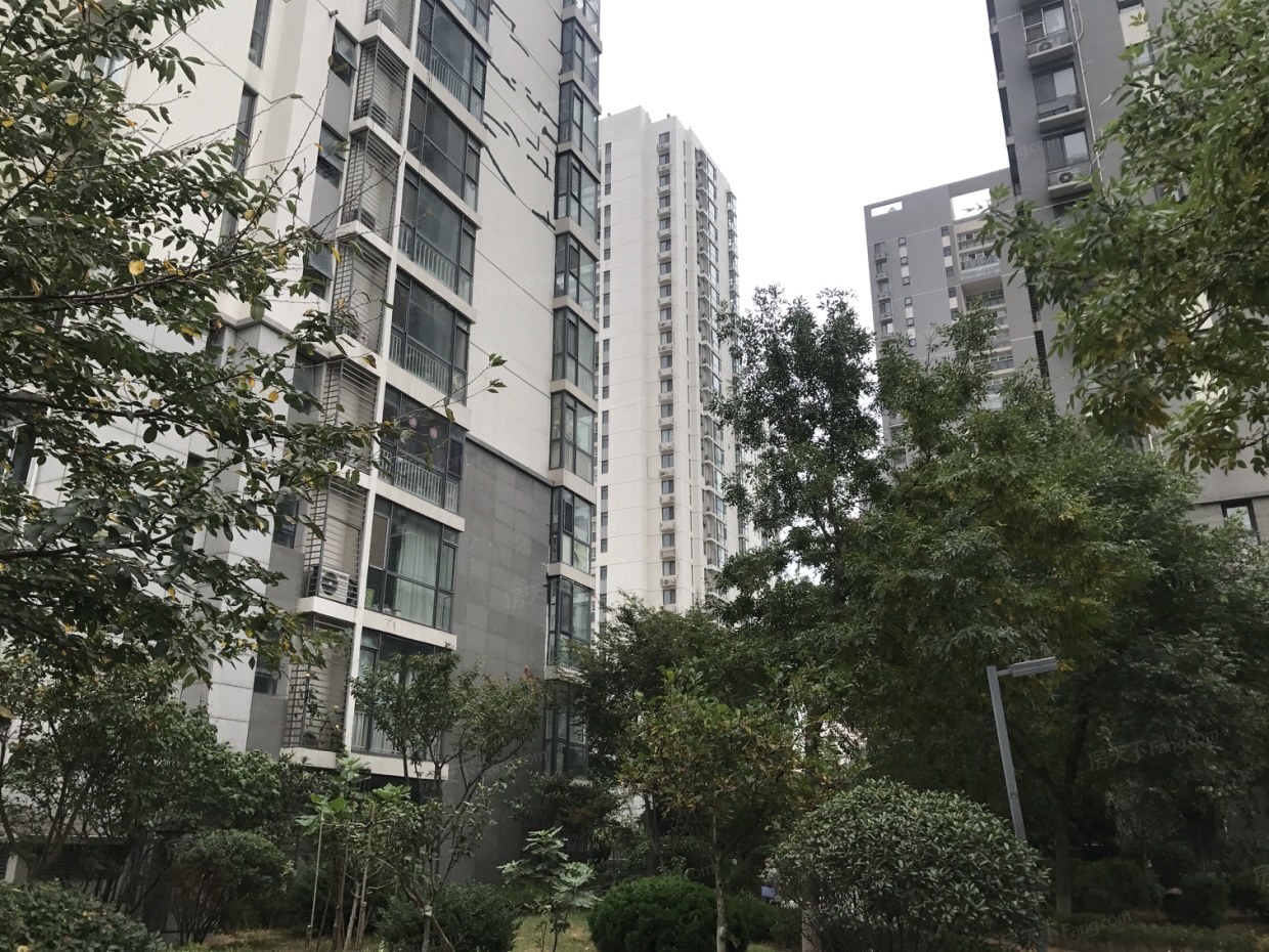 青建橄榄城