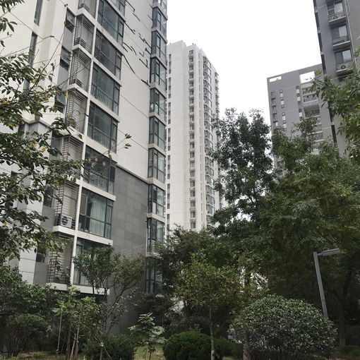 青建橄榄城3室2厅2卫南北朝向4500.00元/月出租
