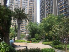 恒大中央广场B区43弄1室1厅南