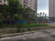 低总价,高楼层,双轨交,采光好