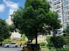 电梯房,产权清晰 无抵押 新上房源