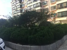 精装通透三居,中楼层,采光好,满五,交通便利