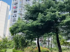 电梯房,主卧朝南,交通便利,精装修,精装好房