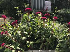 甘泉宜川·新怡苑·2室·1厅