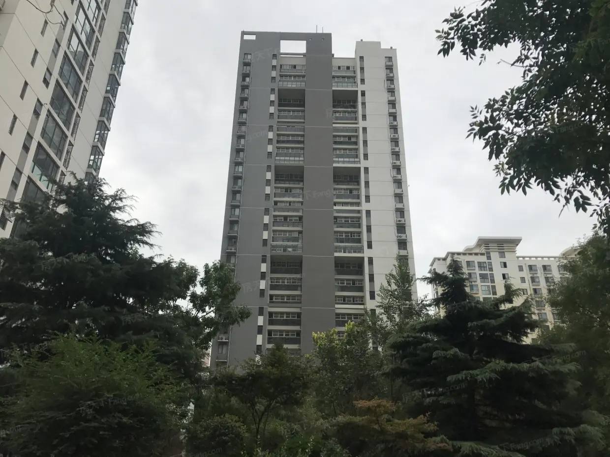 青建橄榄城