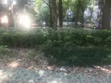 一室一厅,全明户型,不靠马路,东昌,诚意卖