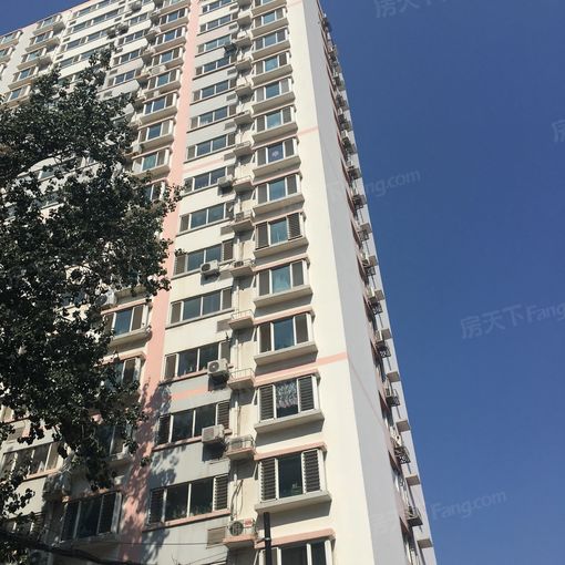 整租·化纤东区 1室1厅 南/北