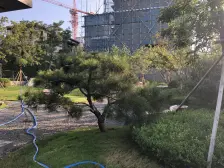 万科观贤别墅 5室2厅 南 西