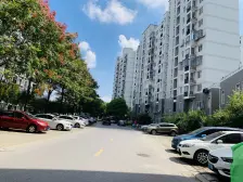 无抵押 产权清晰 电梯房,必看好房