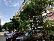 中原·金信公寓·3室·1厅