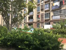 陈坊新苑 2室1厅 南