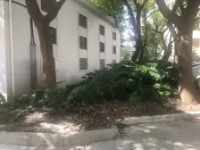 洋泾·羽北小区·2室·1厅