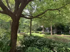 天恒名城 5室3厅 南