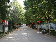 蓬莱公寓东区2室1厅南北