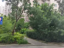 7号线祁华路地铁口,2016年竣工,电梯景观,全南纯毛坯一房