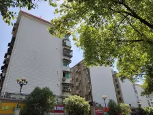 真,实房源,房东诚卖,看中可谈南北通透