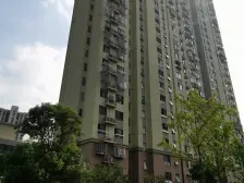 三林·东方康安家园·1室·1厅