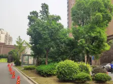 精装电梯一房,拎包入住,高楼层,采光好