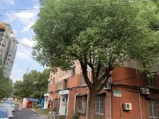 古美罗阳·虹莘新村(南区)·1室·1厅