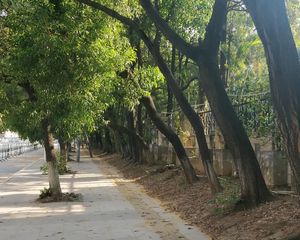 寮步横坑翠湖花园电梯大两房。。。。。