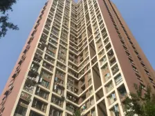 轻轨旁的金科花园洋房复式大五居室,花园带地下室