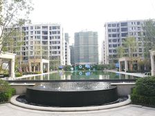 绿城明月双清 3室1厅 南