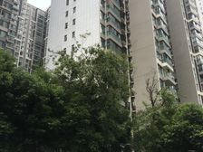 长虹世纪城一期2室2厅南