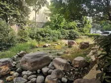 文绿 朝南两室 楼层好 采光好