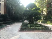 金科品质高层 精装修,跃层采光好 楼下就是轻轨站