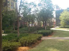 真,实房源 房东诚卖 看中可谈 南北通透