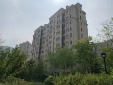 6顶洋房三层下跃实得面积大 边户大院 价格合理诚心卖