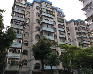 板楼南北通透通风采光好房间方正电梯中高非顶