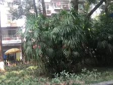 龙溪镇 吉泰家园三房69万