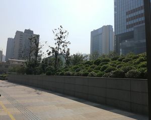 青年公寓1室1厅南