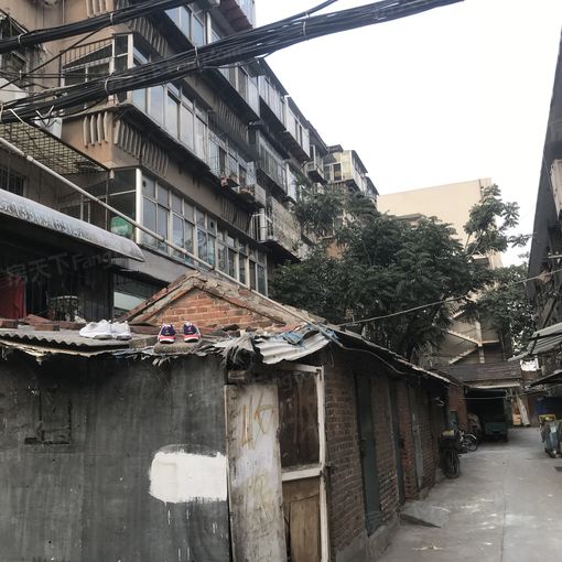 堤口路重汽宿舍3室1厅1卫南北朝向1300.00元/月出租