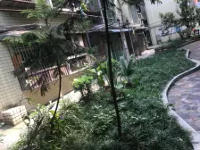 渝北 龙华商厦 3室2厅