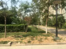 亚太明珠 4室2厅 南 北