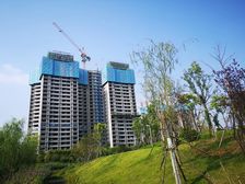 柳叶湖保利中央公园户型周正采光好诚心卖