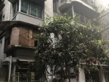 大坪 大坪支路三房